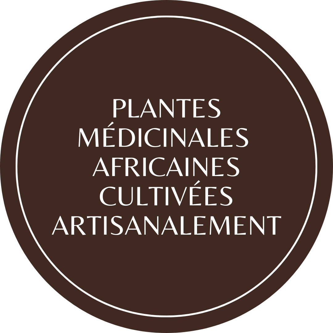 plantes médicinales africaines à Montréal, Canada