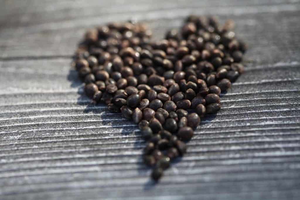 Lupin coffee