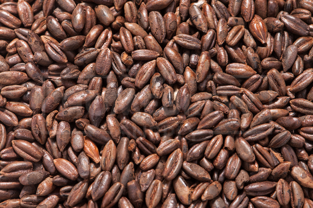 Rye coffee