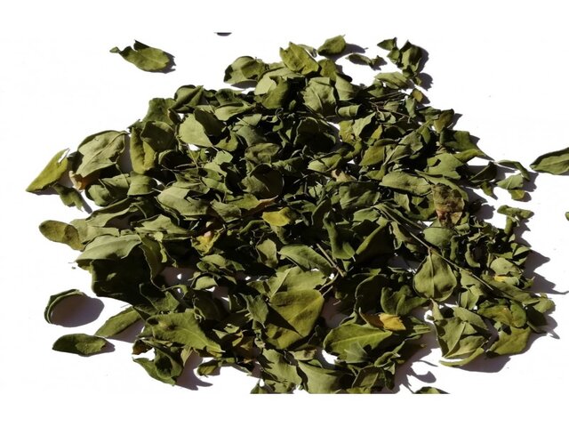Moringa herbal tea