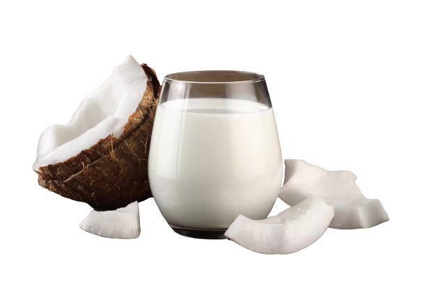 coconut milk