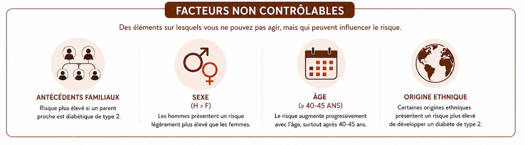 Facteurs de risque non contrôlables du diabète de type 2 incluant l’âge, le sexe, les antécédents familiaux et l’origine ethnique